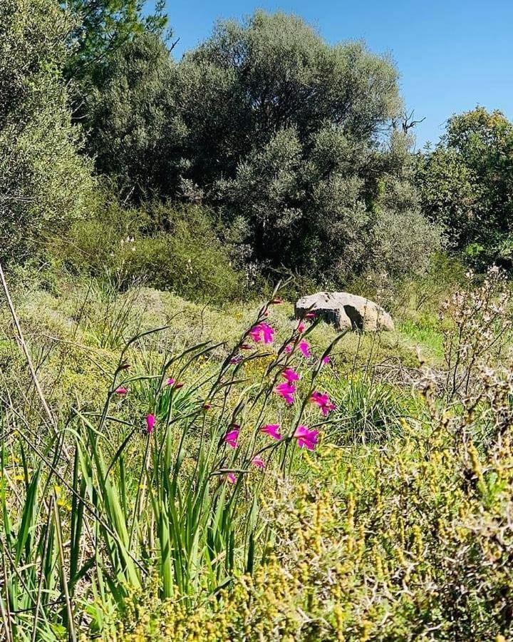 منزل الضيف Amargeti  في Kaizer Agrotourism المظهر الخارجي الصورة