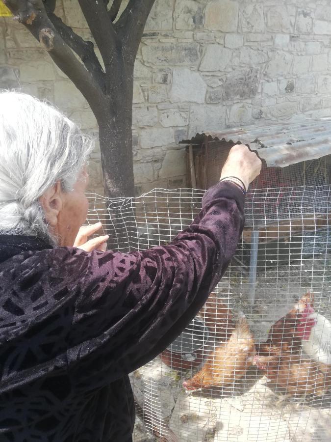 منزل الضيف Amargeti  في Kaizer Agrotourism المظهر الخارجي الصورة